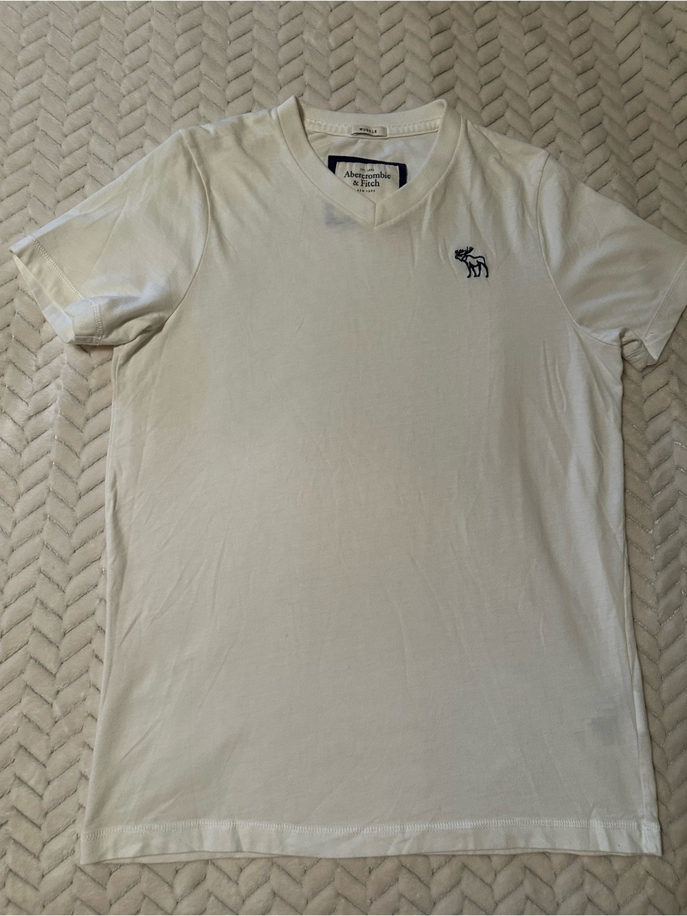 Retro Abercrombie & Fitch Men’s White V‑Neck with Navy Moose Logo
